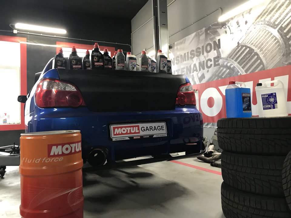Motul головного мозку 😁😱або маленький тизер 🤗 3