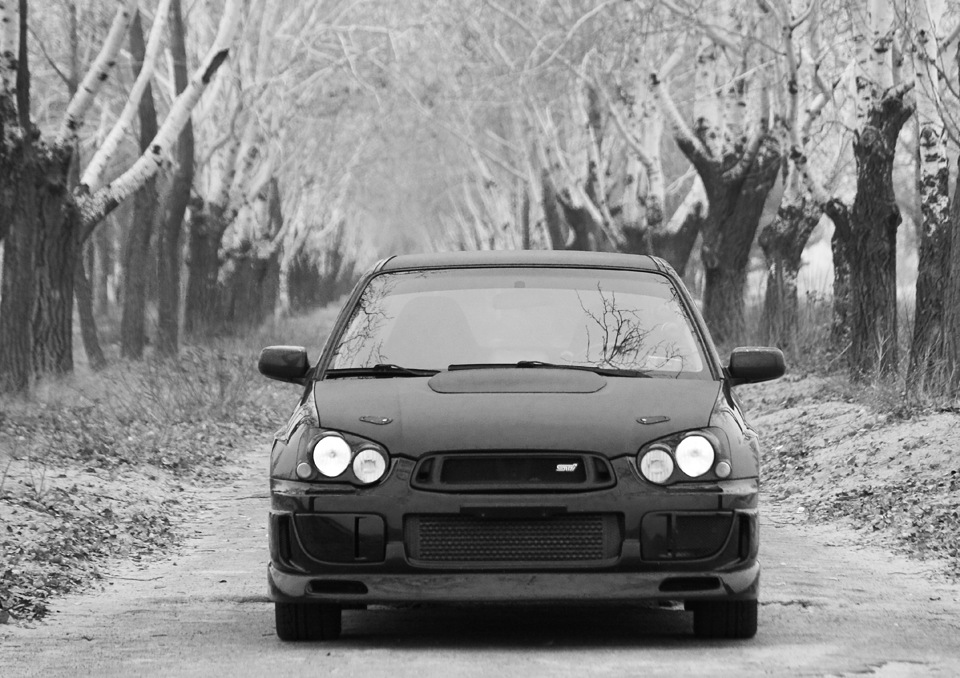 Останній фотосет 1