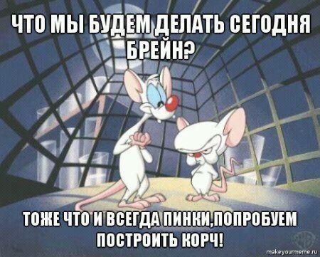 Анабіоз та підготовка до сезону. Частина перша. 1