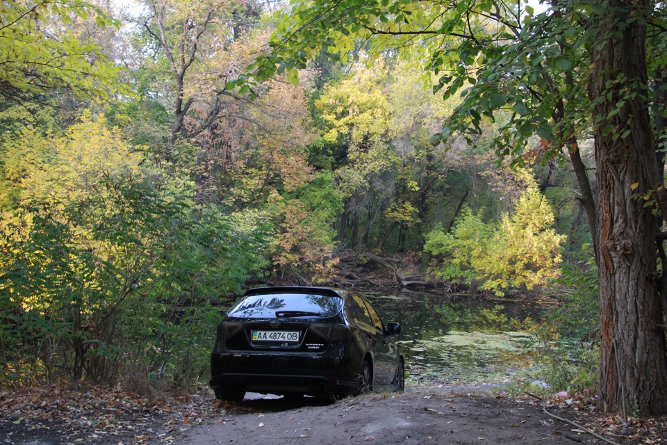 Тільки фотографій природи 4