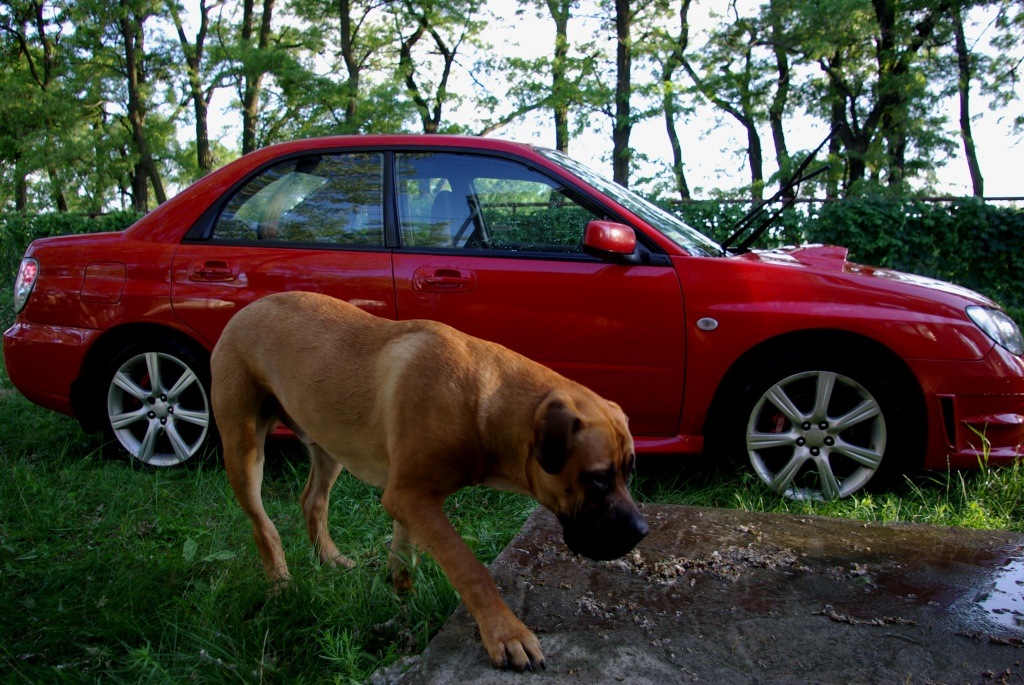 Автомийка Біля будинку 3