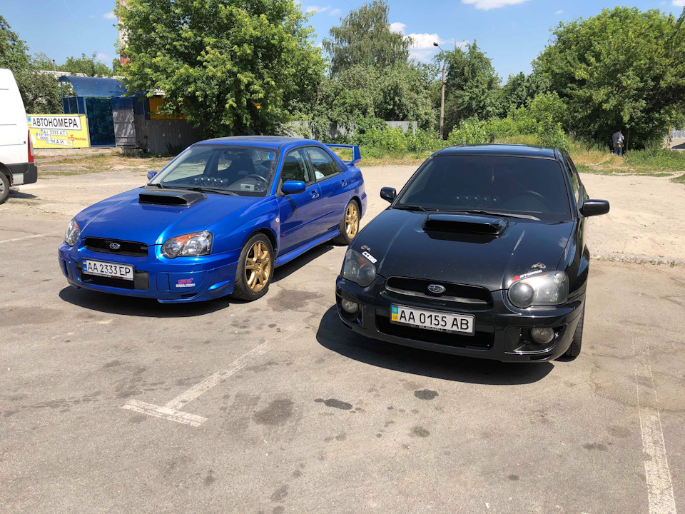 Зустрічайте нову іграшку 4