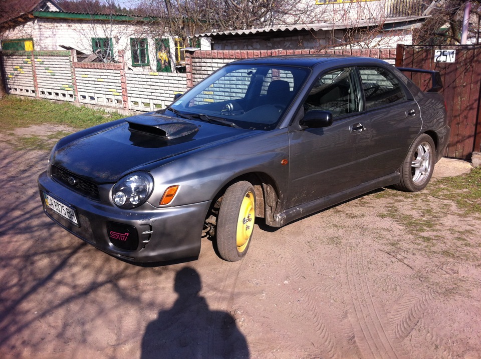 Гумові пригоди 2