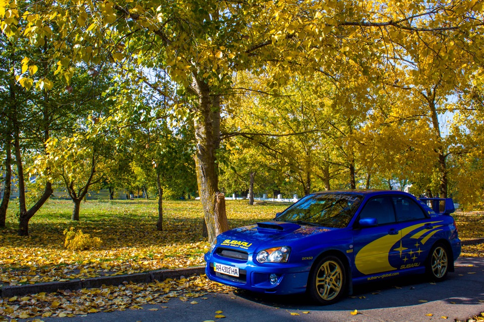 Пару свіжих фоток 2