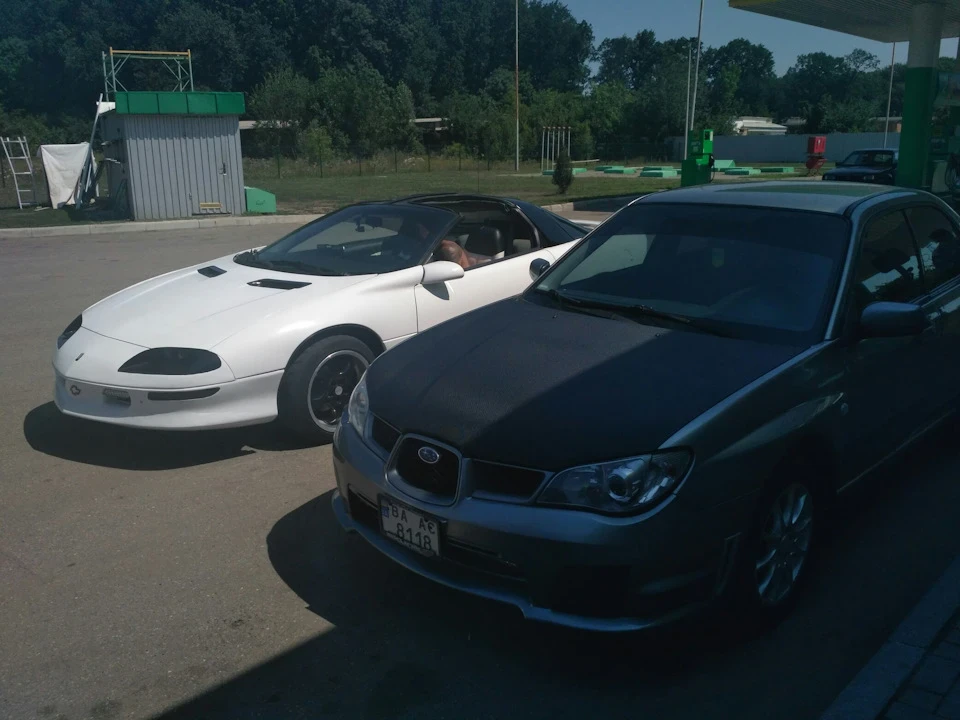 Товариш заїхав у гості