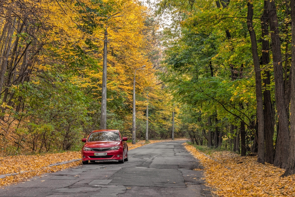 Фотосет: осінь у Голосіївському парку (15.10.14) 5