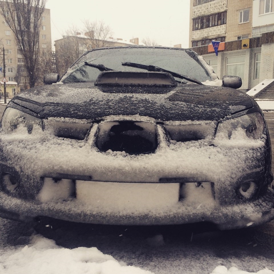 Сніжок))) 1