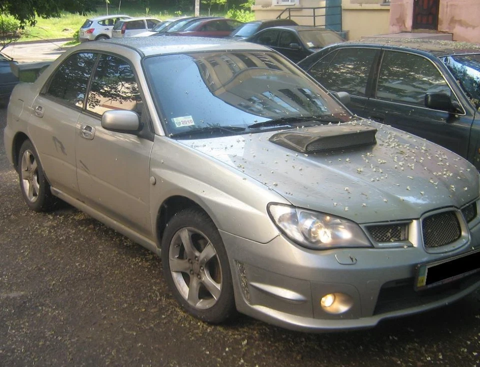 Наслідки дощу