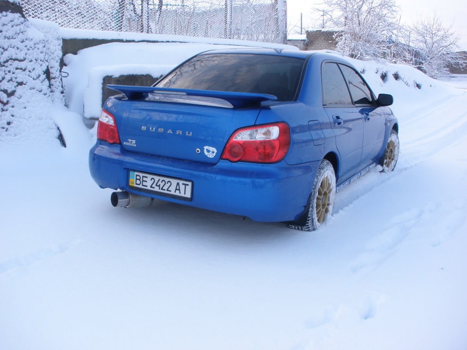 Фото subarika 3