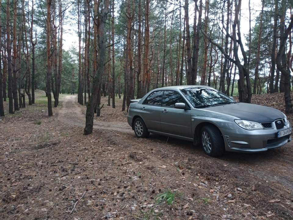 Покупка літньої гуми 5