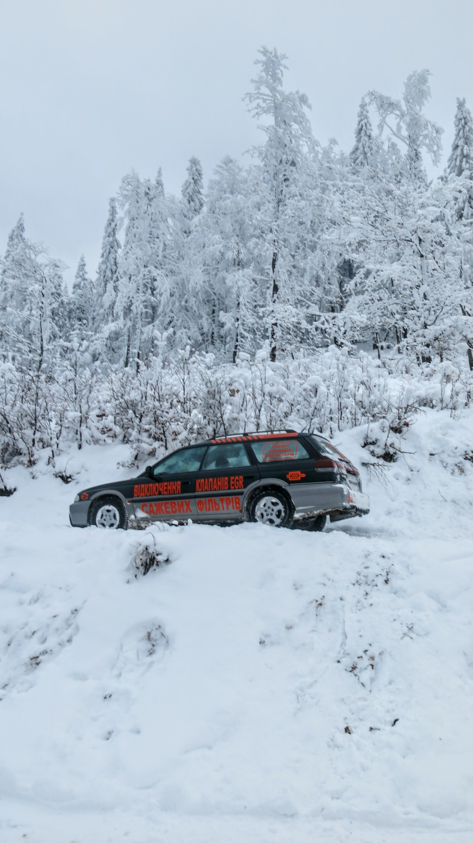 Вишків 5