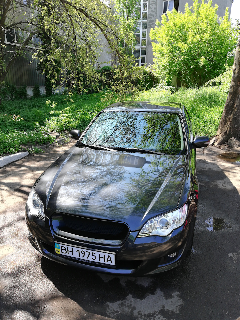 Поліровка, Fusso Coat, Turtle Wax Color Magic, антидощ та руки базуки! 1