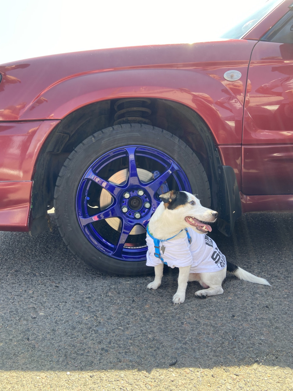 Slot Subaru club / 2021 1
