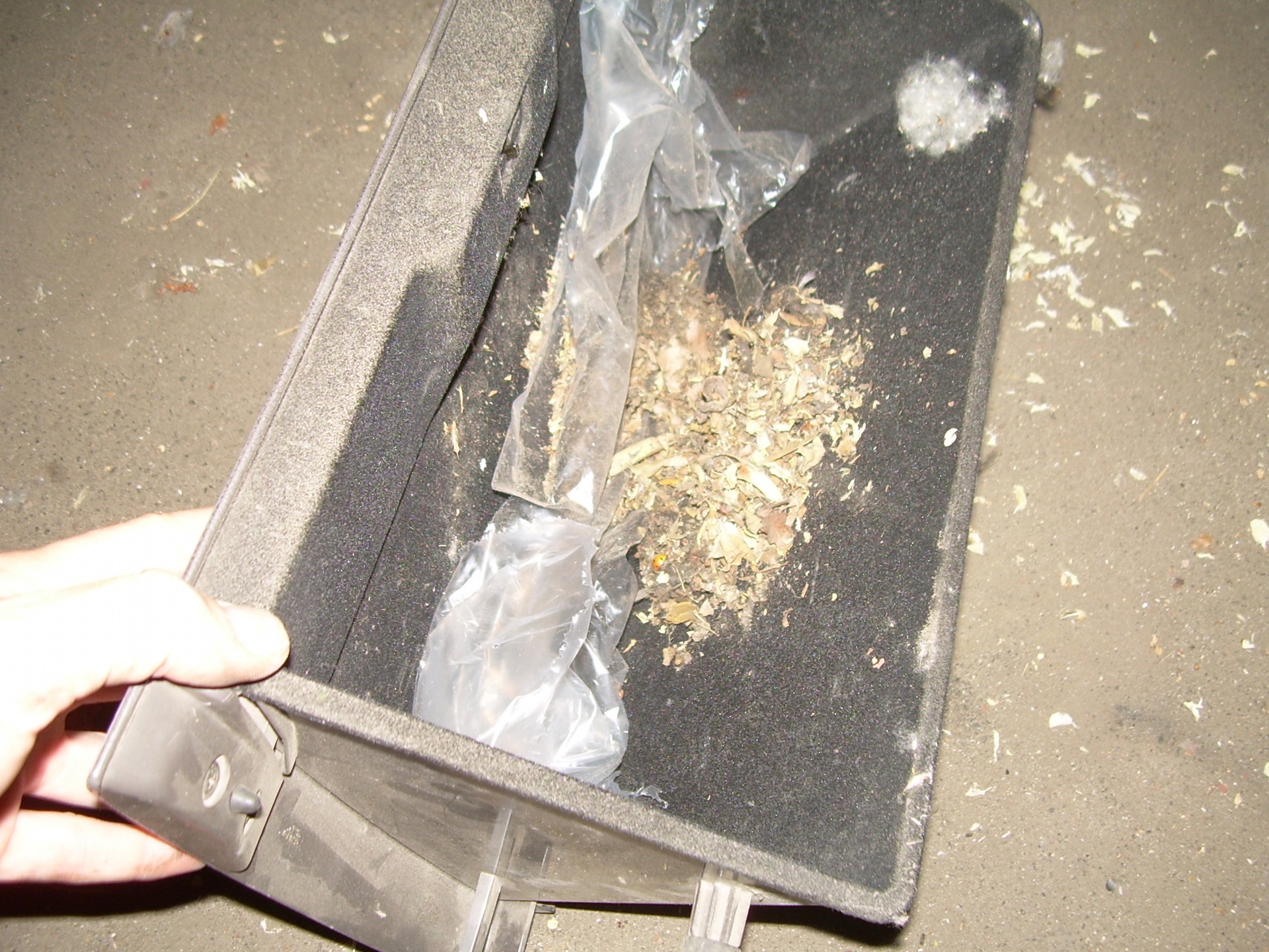 Запис, 6 червня 2011 року 4