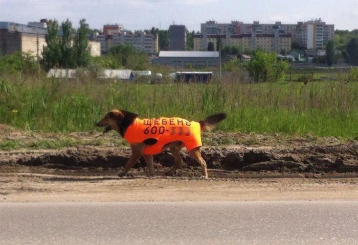 І знову прошу допомоги у питанні, посони! 2