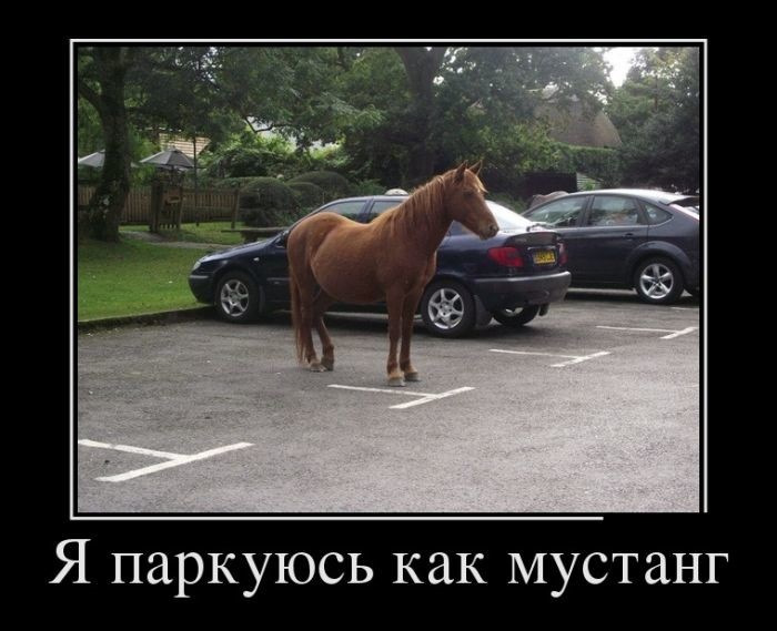 Спиртовмісний бензин. 1