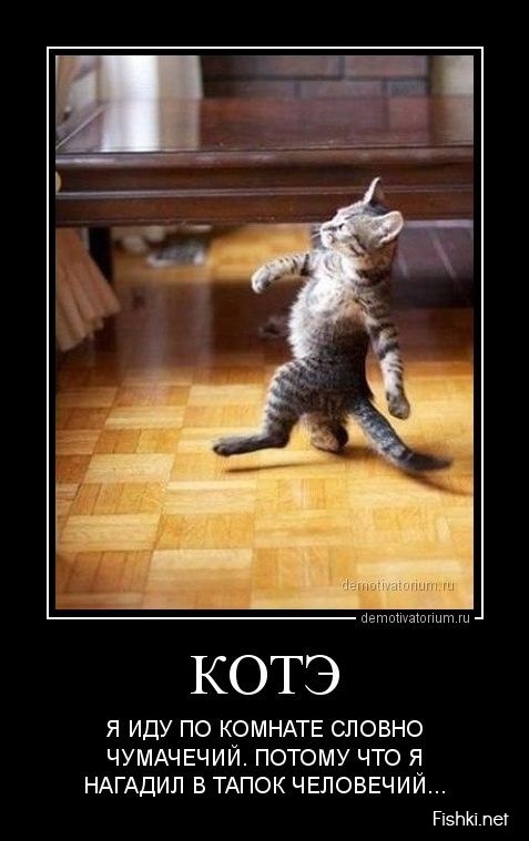 ДНЮ АВТОМОБІЛІСТА ПРИСВЯЧАЄТЬСЯ... 3