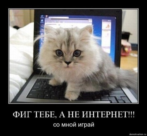 КАБ НЕ БУЛО ЗИМИ... 5