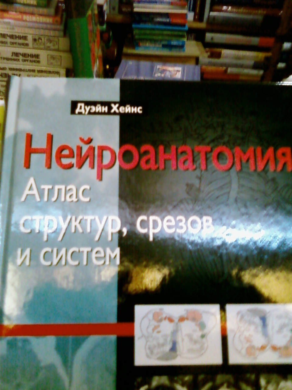 Кому зима-а кому мати рідна ... 2