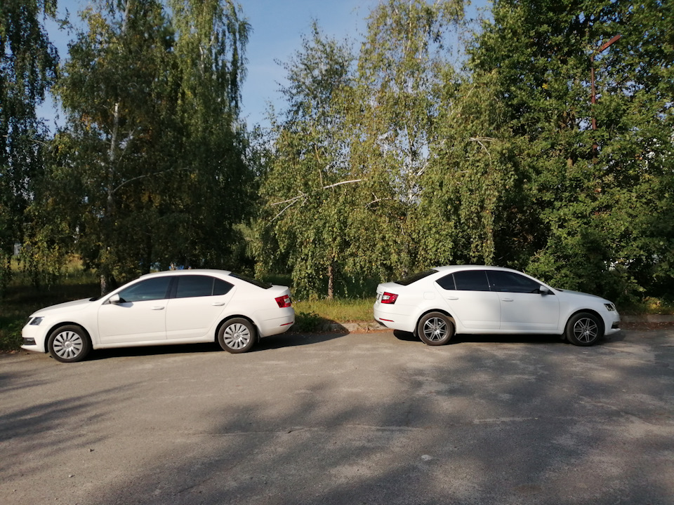 РЕІНКАРНАЦІЯ 5