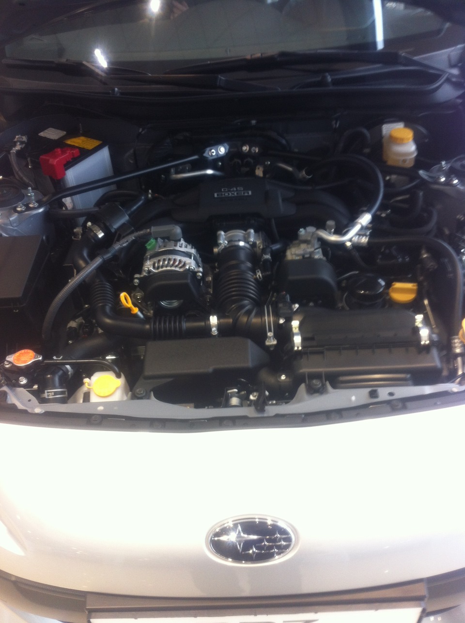 SUBARU SERVICE DAY 4