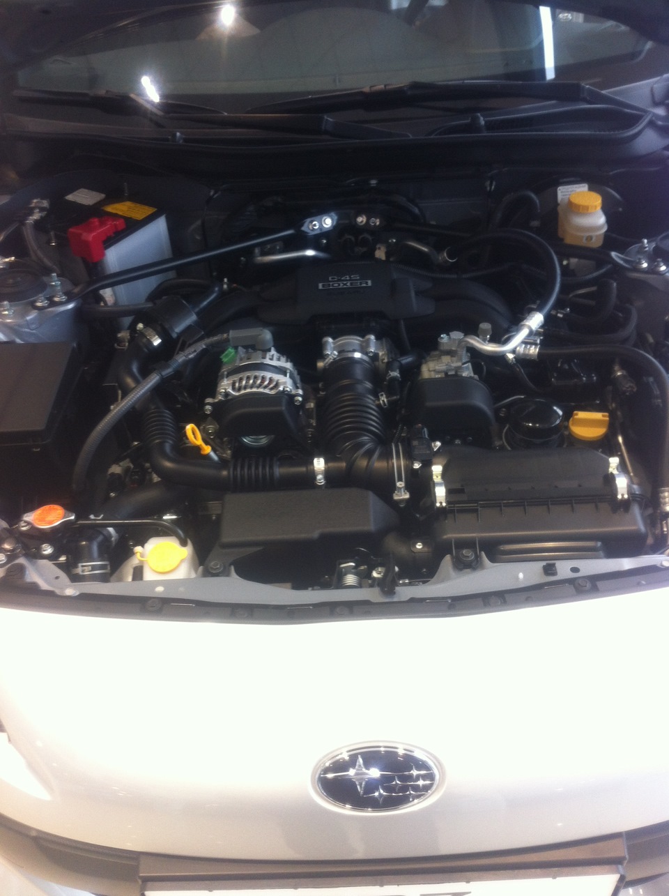 SUBARU SERVICE DAY 3