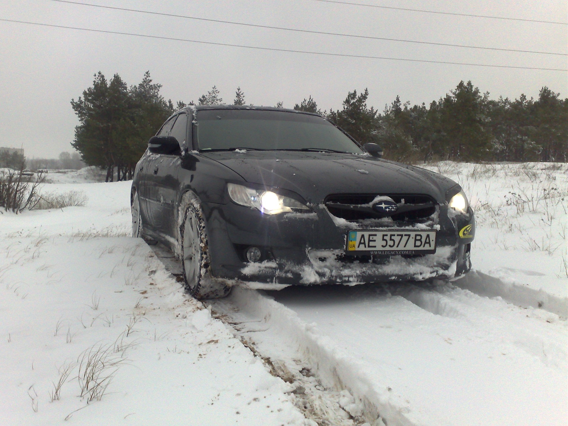 Перший сніг! 1