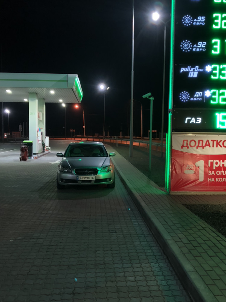 Пташеня в клітці, орел на гілці 1