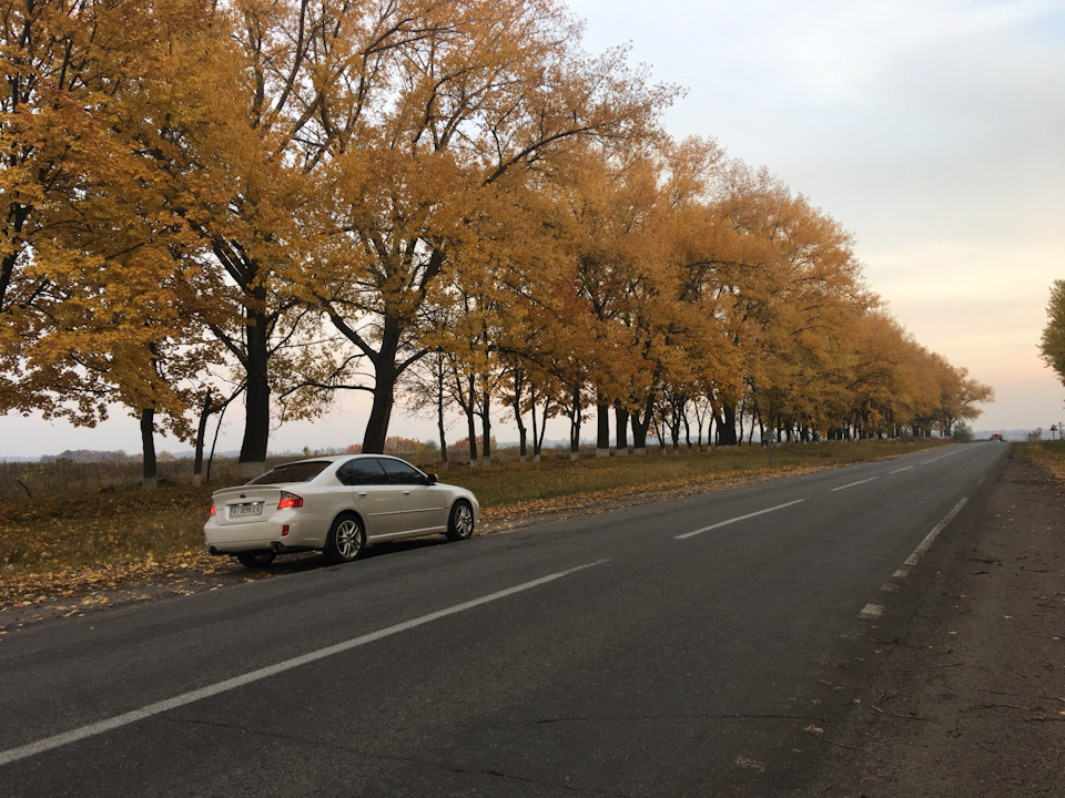 ОСІНЬ 🍂 і МИ) 4