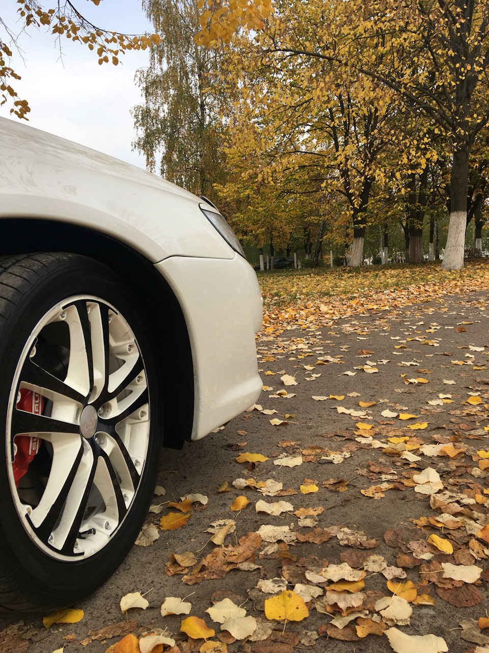Продаж гальм wrx 1