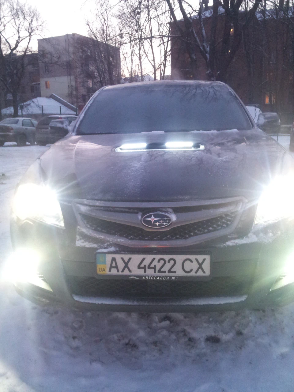 Drl в ніздрі