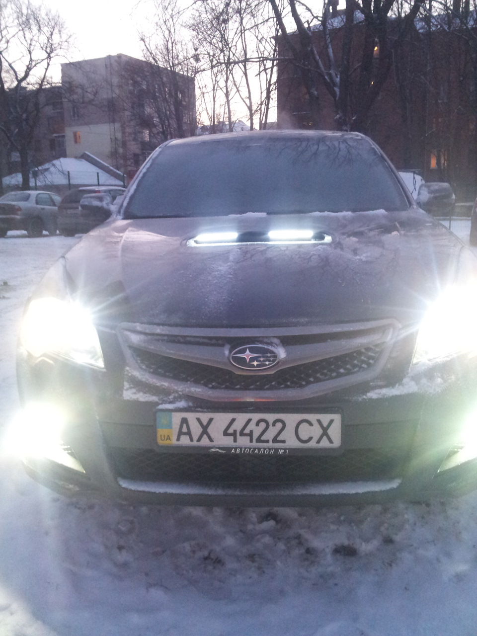 Drl в ніздрі 1