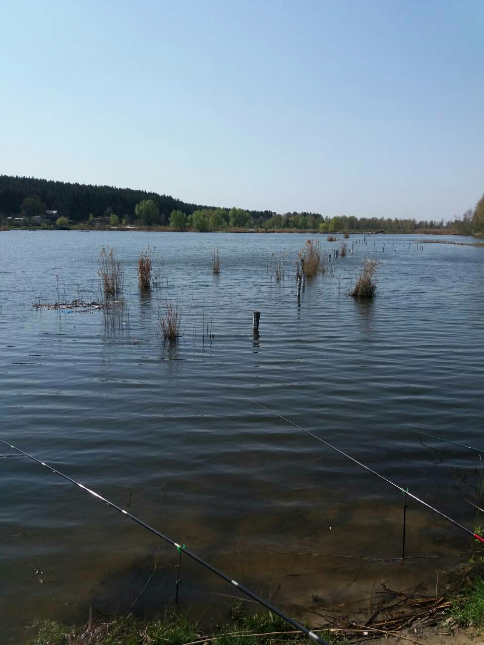 Відкрив сезон риболовлі на вудку 4