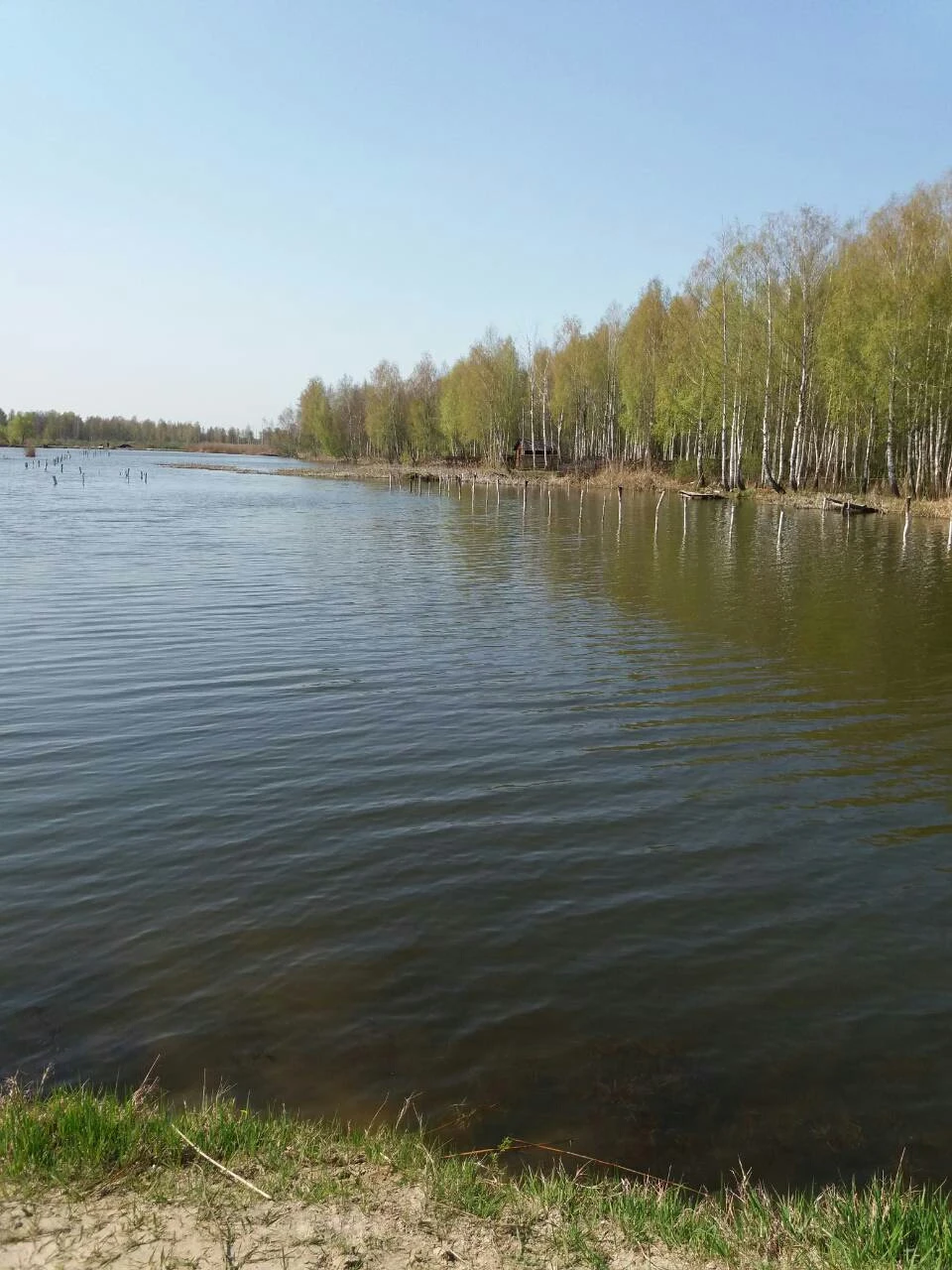 Відкрив сезон риболовлі на вудку