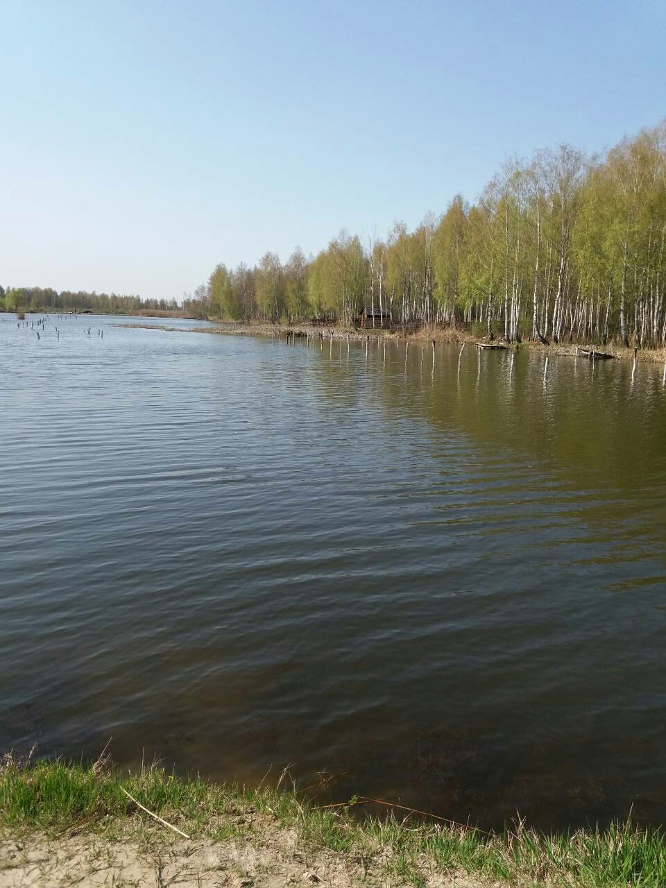 Відкрив сезон риболовлі на вудку 1