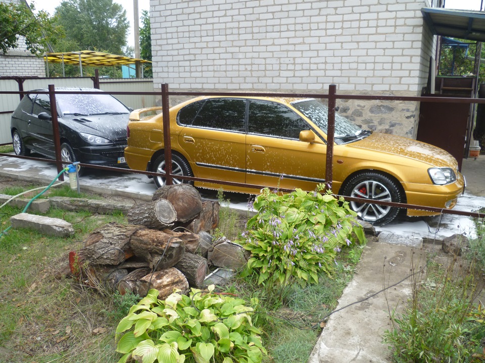 Робити не було чого, дістав фотоапарат! 4