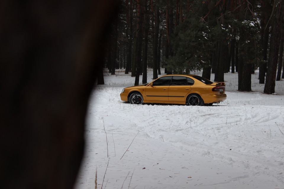 Новорічний фотосет 5