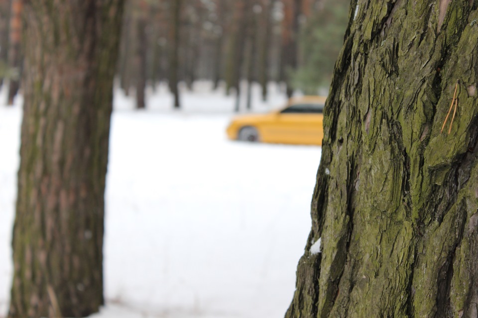 Новорічний фотосет 4