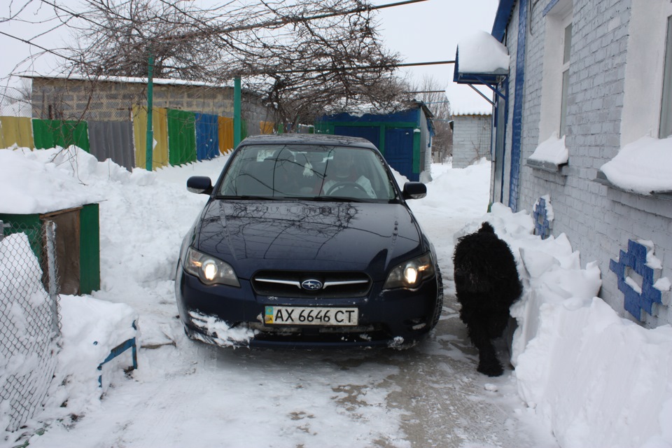 Крокодил роззяв пащу 5