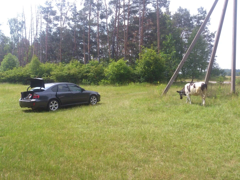 1000 км за 2 дні. нічого собі поїздка.