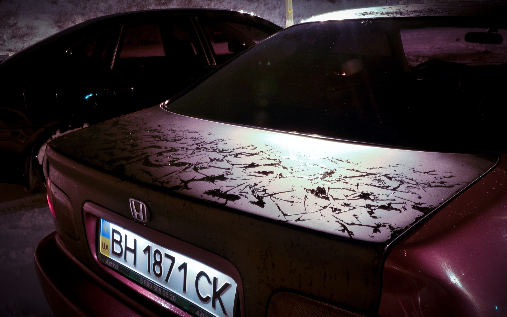 The Last Snow 3