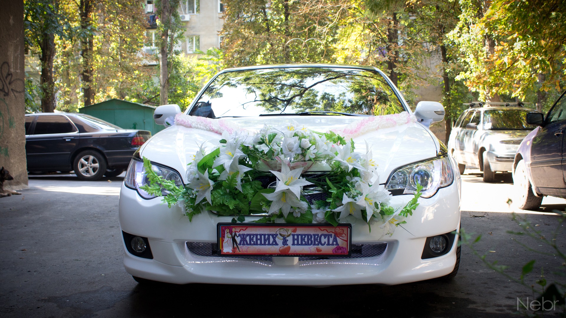 Wedding 5