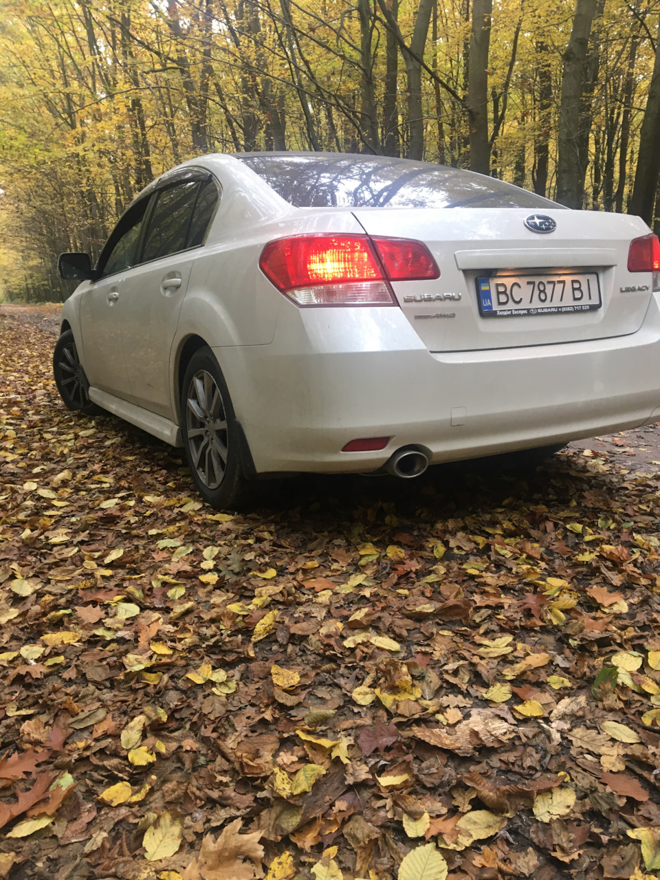 Пару фоточок ... 3
