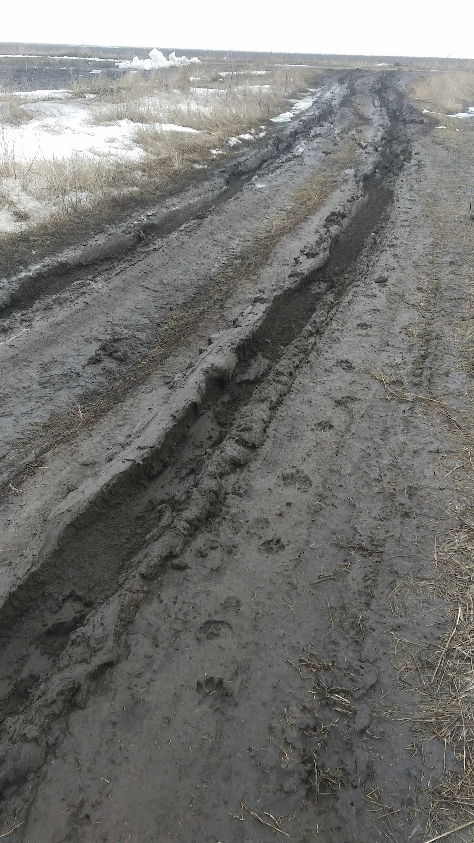 Субару в бруді