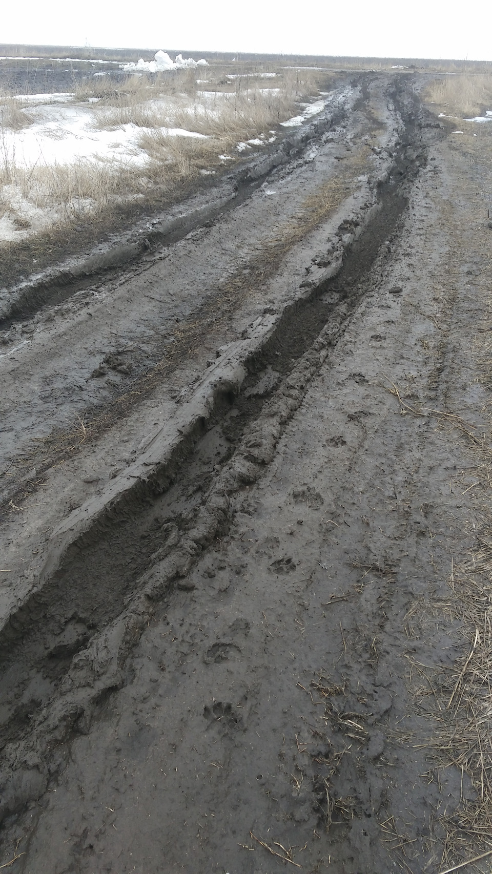 Субару в бруді 1