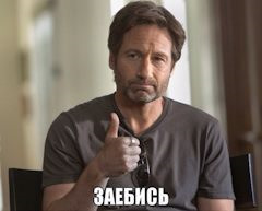 завив собака ... 3