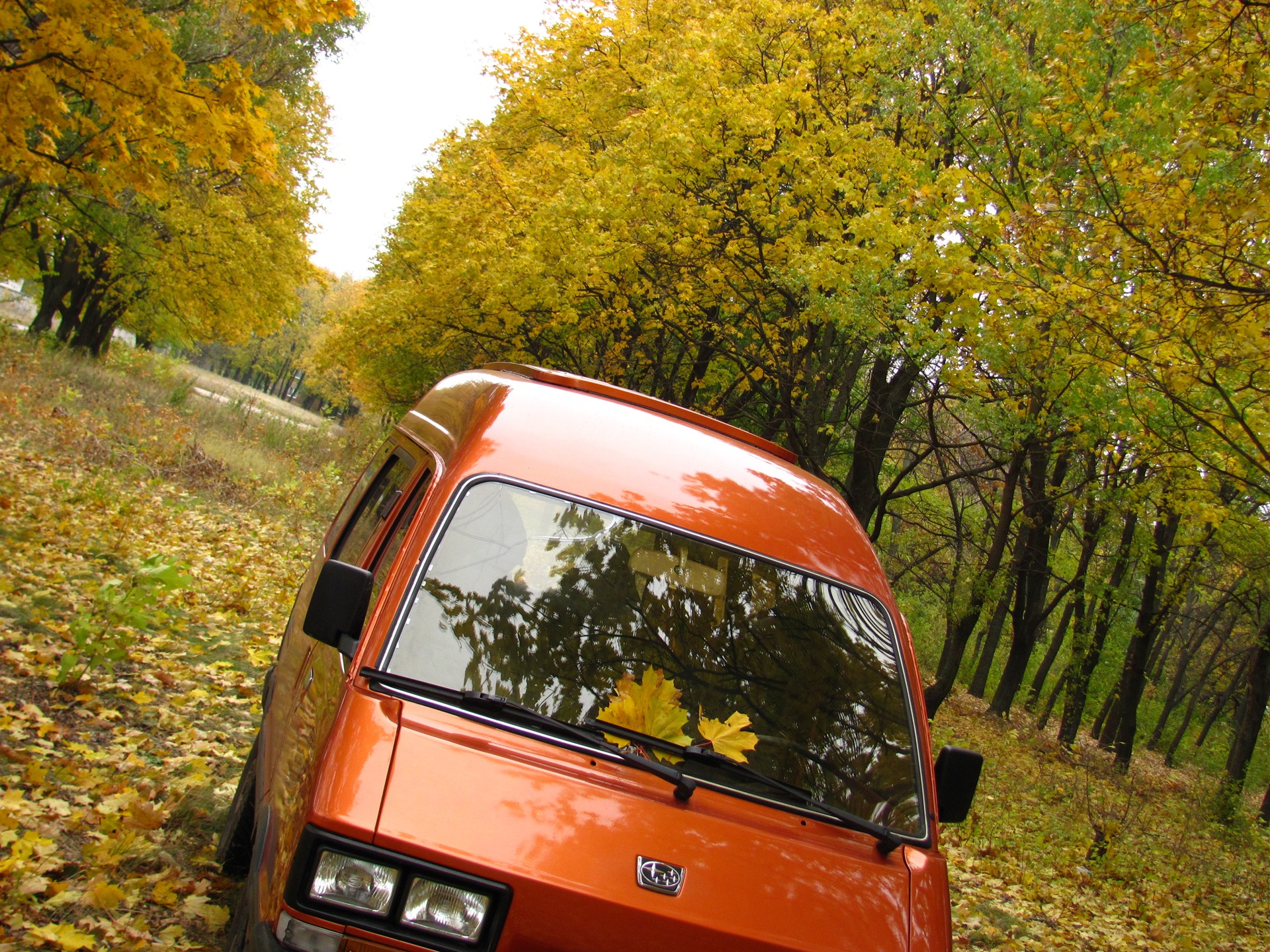 Осінь 5