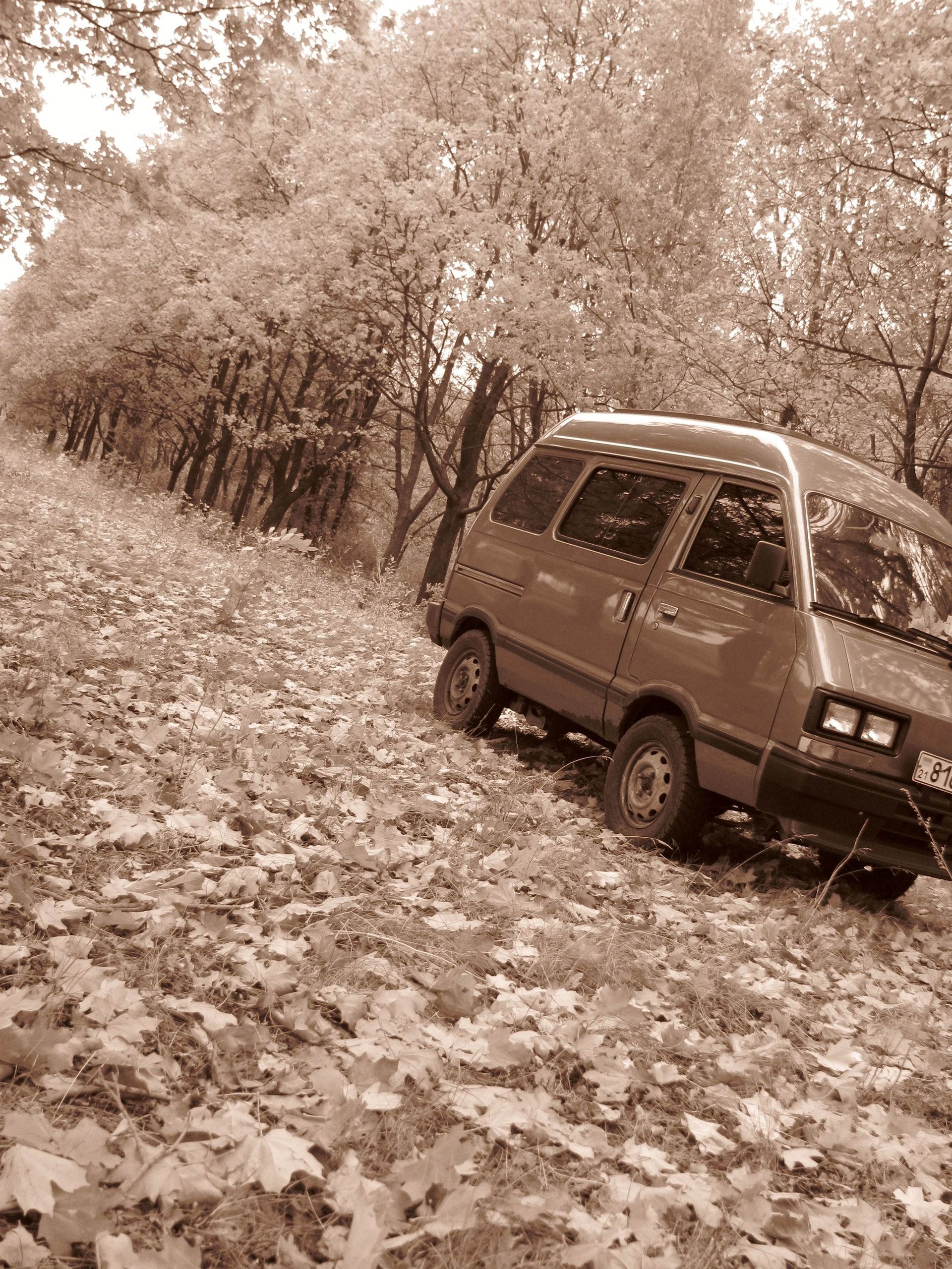 Осінь 3