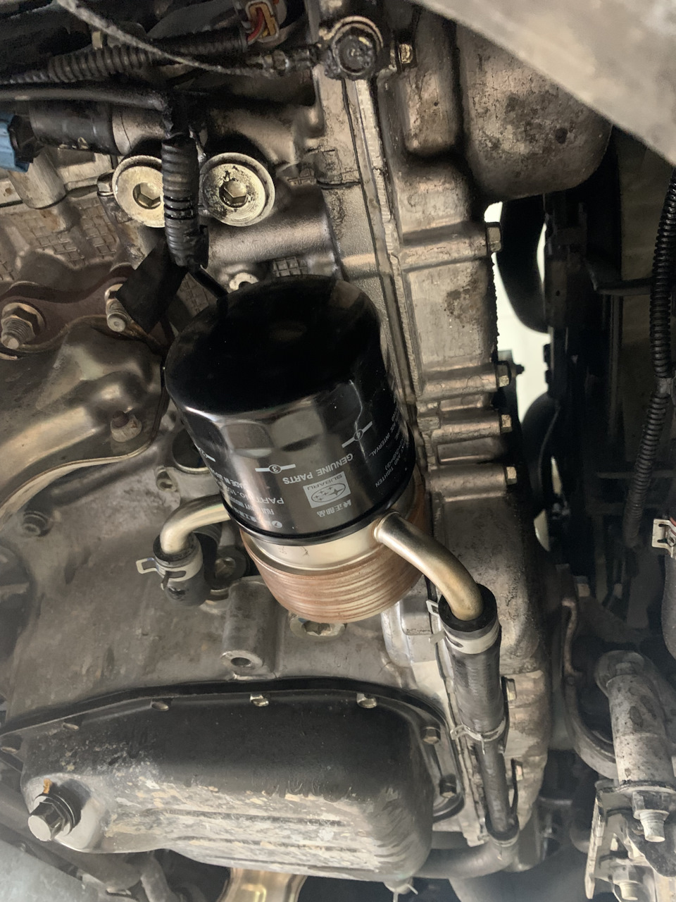 Перші доробки авто 123000км 3
