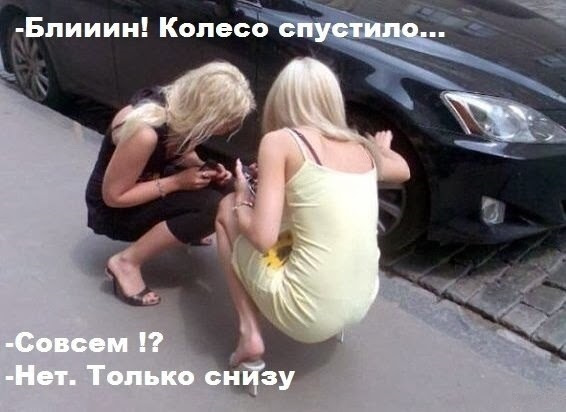 ТО – 2017 осінь 3